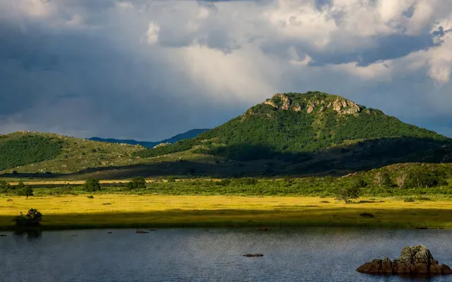 Echoes of the Emerald Canopy — AI-generated nature documentary on Cinee